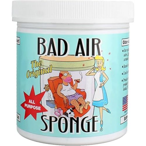 Bad Air Sponge Air Odor Absorbent, 14 ounce, 2-Pack