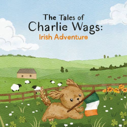 Irish Adventure