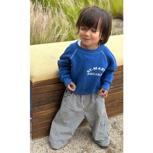 casper pant | navy stripe