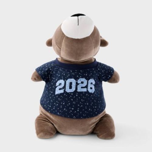 Baby Tee Bear Weighted Plush Throw Pillow - The Hollister Collection at Target