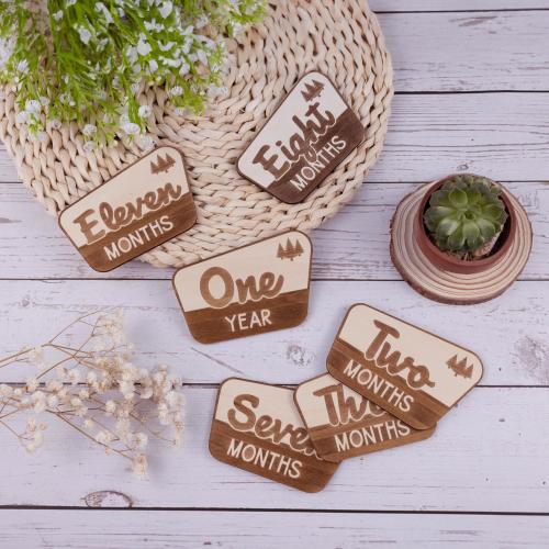 National Park Baby Milestone, Nursery National Park Decor, Baby Monthly Milestone, Wood Baby Milestone Cards, National Park Baby Shower