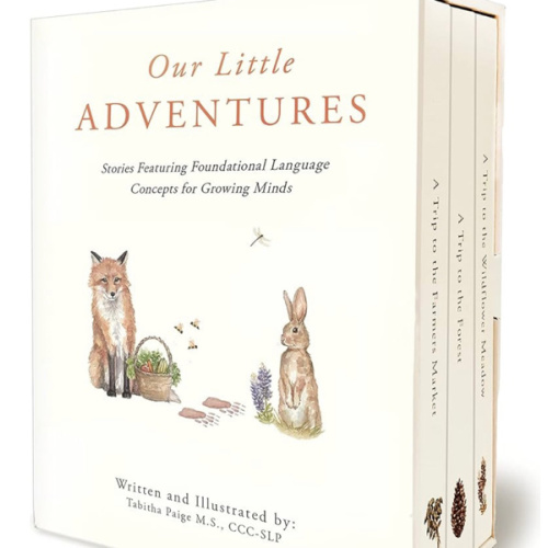Our Little Adventures: Stories Featuring Foundational Language Concepts for Growing Minds (Tabitha Paige Children's Book Series)