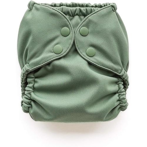 Esembly Cloth Diaper Cover - Reusable Swim Diaper, Waterproof, Breathable - Adjustable Outer Layer Over Absorbent Inner for Blowout Protection - Aloe, Size 2 (18-35lbs)