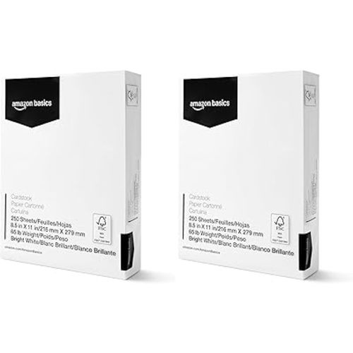 Amazon Basics Cardstock Paper, 8.5" x 11", 65 lb/176 gsm, 96 Bright White, 250 Sheets (Pack of 2)