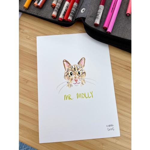 Cat Doodle | Custom Colored Pencil Cat Sketch