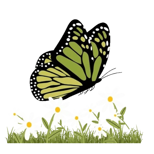 Unscented Solid Goat Milk Lotion - Goat Milk Stuff