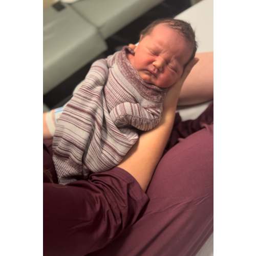 Swaddelini Sleep Sack In Plum