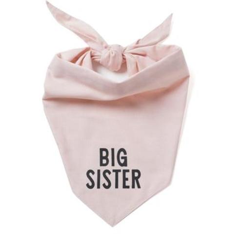 THE PAWS My Big Sister Dog & Cat Bandana, Pink, Large - Chewy.com