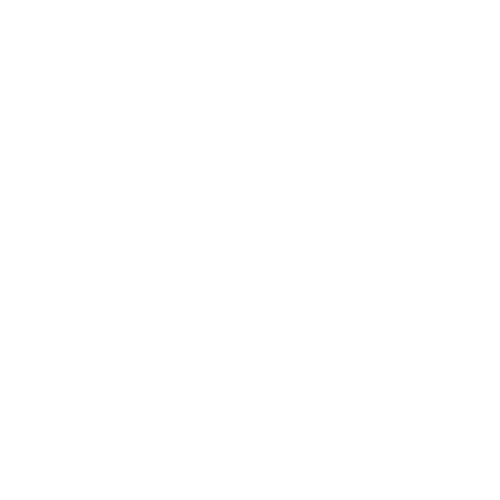 Motherlode Prenatal Tonic Blend - Village Herbals