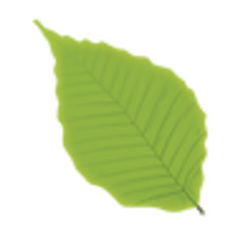 The Retreat Spa | Massage Body and Facial Treatments | 8831 Bluebonnet Blvd, Baton Rouge, LA, USA