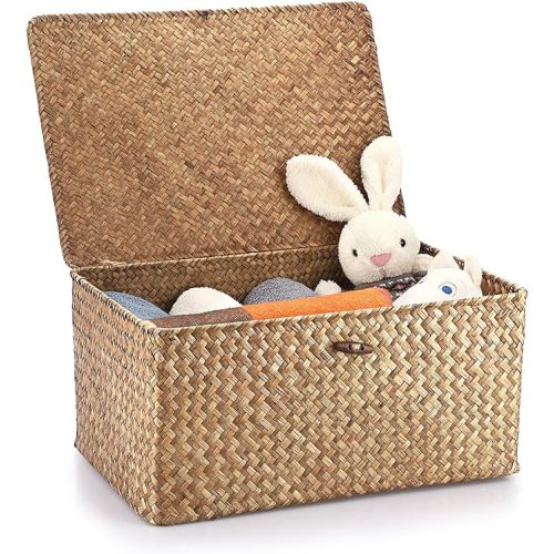 Hipiwe Wicker Shelf Baskets Bin with Lid Woven Storage Box, Coffee X-Large | Handmade Seagrass Basket Storage Bins Rectangular Household Basket Boxes for Shelf Wardrobe Home Organizer