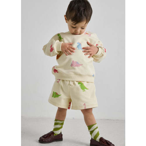 Dinosaur Terry Oversized Sweatshort Set