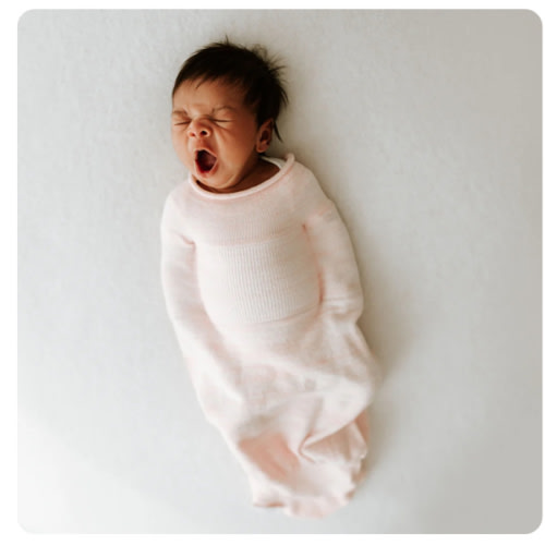 Pink Swaddle Sleep Sack – Swaddelini