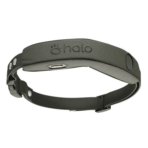 Halo Collar 5 GPS Dog Fence