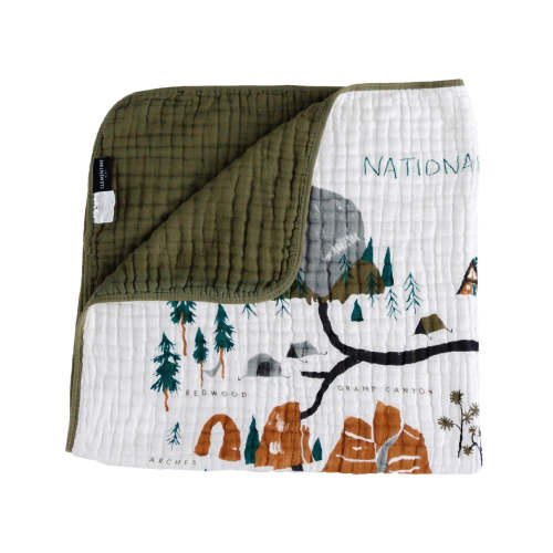 National Parks Quilt – HoneyBug
