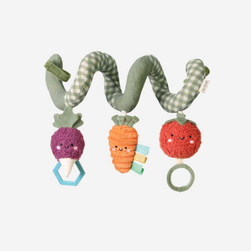Spiral Veggie Activity Toy