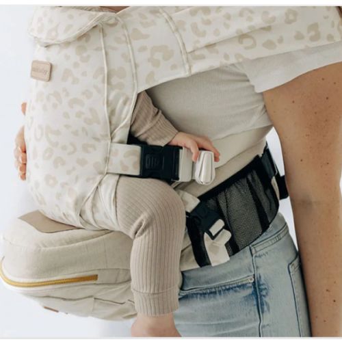 2-in-1 Convertible Carrier