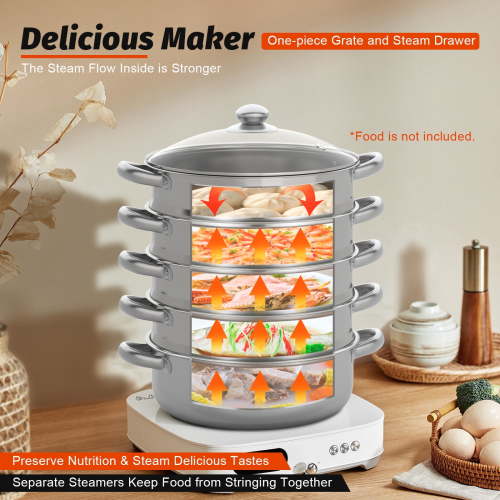Commercial 5-Tier Stainless Steel Steam Cooker, Large Multi-Functional Steamer for Domestic