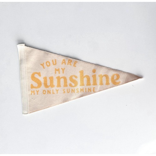 You Are My Sunshine Pennant Flag