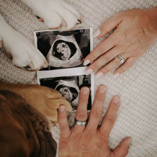 Parental Leave Fund