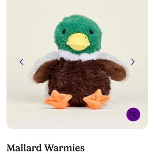 Mallard Warmies