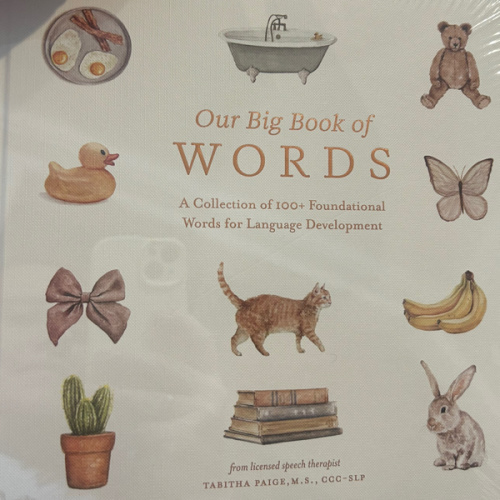 Our Big Book of First Words: A Collection of 100+ Foundational Words for Language Development (Tabitha Paige Children's Book Series)