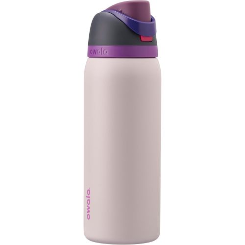 Owala FreeSip Stainless Steel Water Bottle 32 oz Dreamy Field