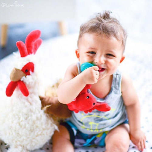 Lobbie Lobster WubbaNub Pacifier – Hopscotch Baby and Children's Boutique