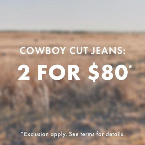 Baby Wrangler® Diaper Cover