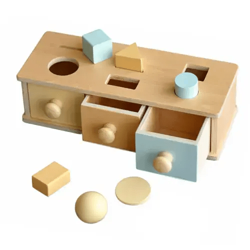 Montessori 3 in 1 Multi-Function Box - Coin Box Shape Sorter for Early – GrowGo Kids