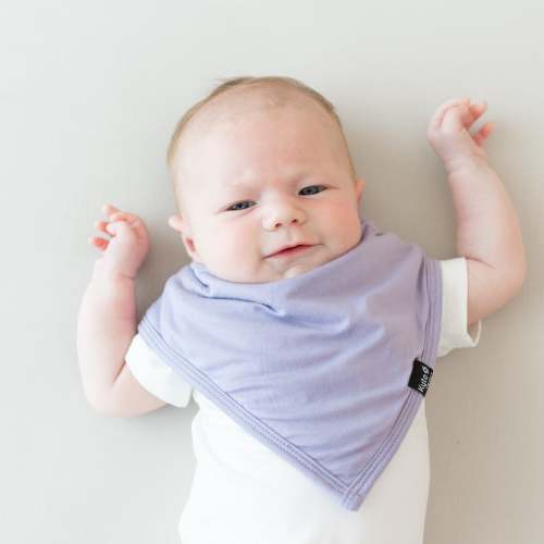 Bib in Taro | Newborn, Infant Bib | Kyte Baby