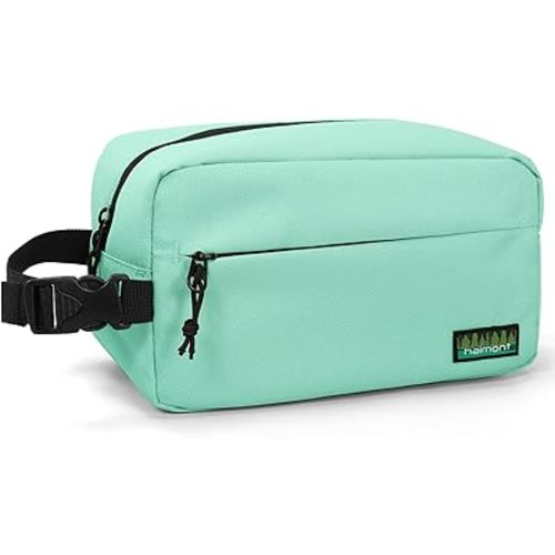 Haimont Freezable Snack Bag, Reusable Small Freezer Cooler Lunch Bag with Buckle Handle for Trip, Picnic, Office, On-the-Go, Mint Green