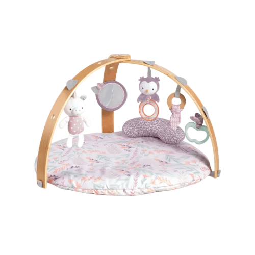 Ingenuity Cozy Spot Reversible Activity Gym, Calla (Pink)