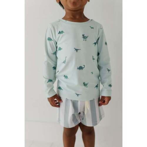 Boy's Swim Shorts Aqua Grey Stripe - Babysprouts | Maisonette