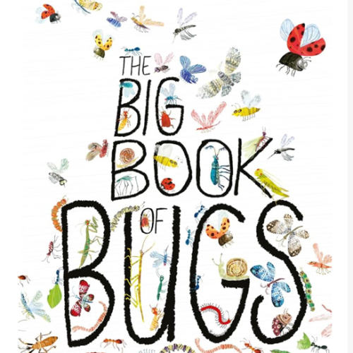 The Big Book of Bugs