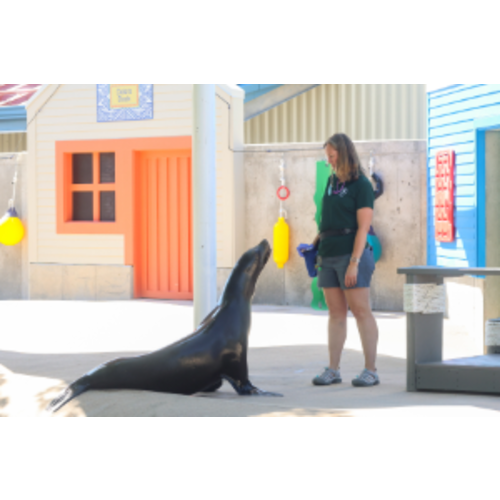 Family Plus Membership Support Denver Zoo Conservation Alliance (DZCA) with a membership. | Denver Zoo