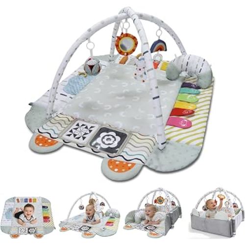 Aila+Aiden Baby Gym Play Mat, 8-in-1 Tummy Time Mat & Activity Gym, Washable Ball Pit, Infant Play Mat with Detachable Toys for Sensory Exploration and Motor Skill Development