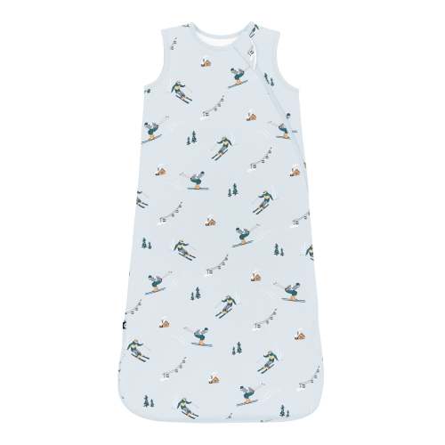 Sleep Bag in Ski 1.0