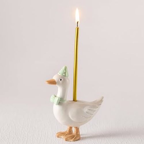 Mumufy Silly Goose Cake Candle Holders with Birthday Candle One Silly Goose Birthday Party Supplies Mini Cute Cake Topper Stand Candlestick for Kids Baby Shower Party Celebration, 3.15 Inch (Green)