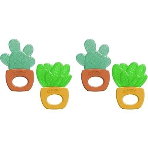 Dr. Brown's Aqua Cool Water-Filled Teether, Green Cacti, 4-Pack | Cooling Baby Teether Toy for Sore Gums, BPA-Free, 3m+