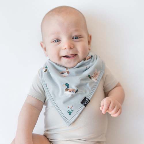 Bib in Mallard Duck