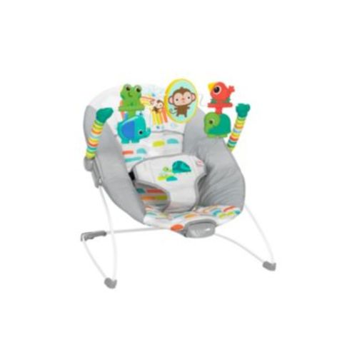 Playful Paradise™ Vibrating Bouncer