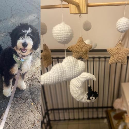 Custom Crochet Pet Baby Mobile, Rainbow Nursery Decor, Nursery Decor, Puppy Nursery Decor, Baby Shower Gift,Christmas Gifts