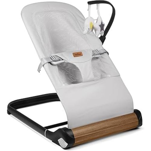 Baby Bouncer Chair - Comfortable Support for Your Little One's Blissful Moments (Net, Light Grey)