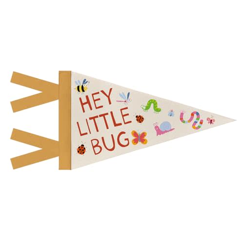 WXHUM Hey Little Bug Felt Pennant Banner Flags for Kids Nursery Room Classroom Playroom Decor, Cute Wall Art Decor for Nursery Toddler Boys Bedroom Decor, 8x17 Inch