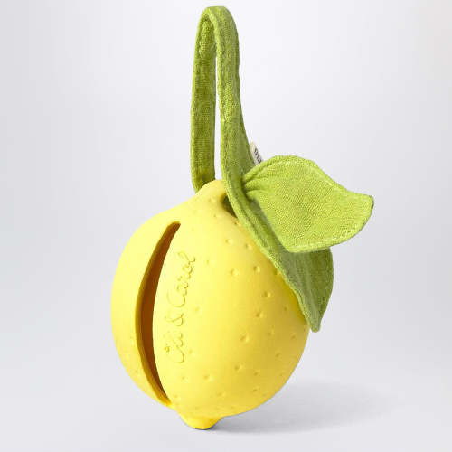 Lemon-shaped pacifier case