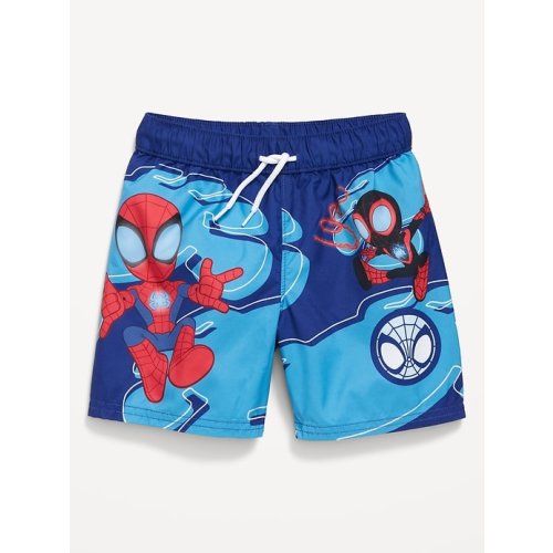 Licensed Graphic Swim Trunks for Toddler Boys