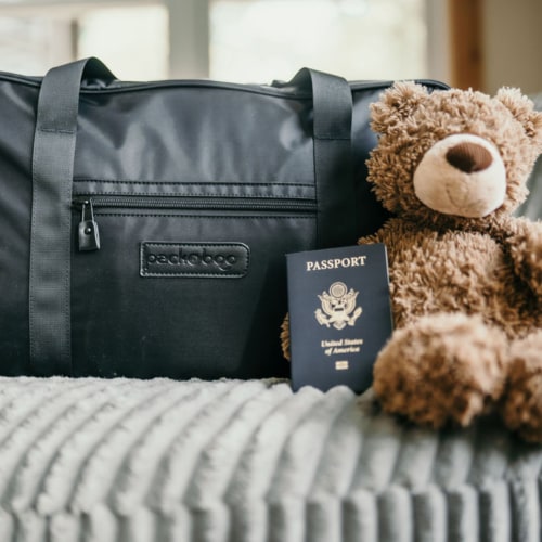 Packaboo Luxe with Black Interior