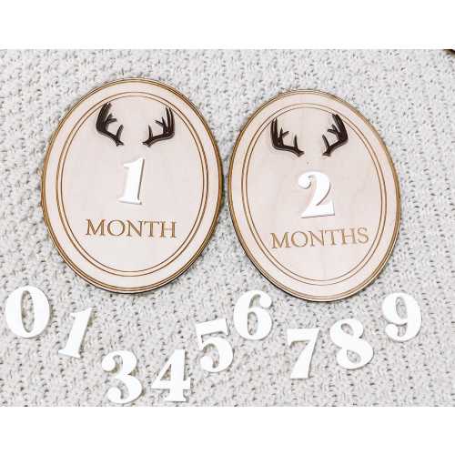 Deer Monthly Milestone Markers, Monthly Photo Sign, Deer Head Milestone Discs, Baby Shower Gift, Baby Photo Props, hunting monthly Photos