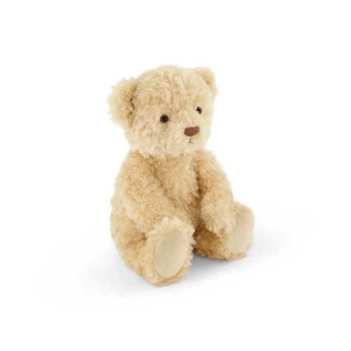 Arthur the Bear
